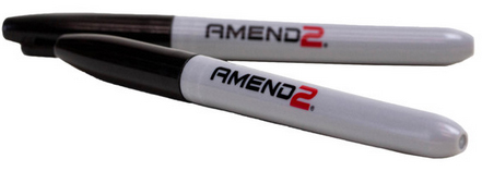 AMEND2 SELF-DEFENSE PEN 