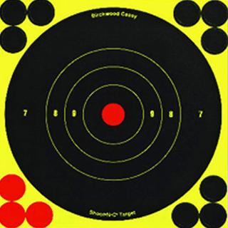 BC SHOOT-N-C 8" ROUND 30PK