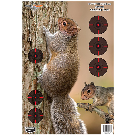 BC PREGAME SQUIRREL TGT 12"X18" 8PK