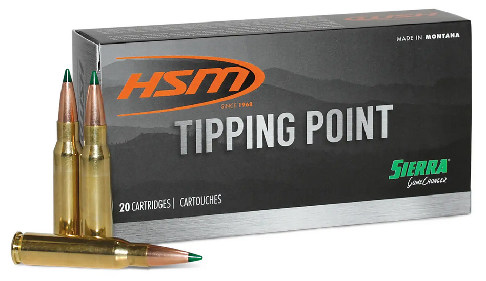 HSM 6MM ARC 95GR SST TIPPING POINT 2 20/25