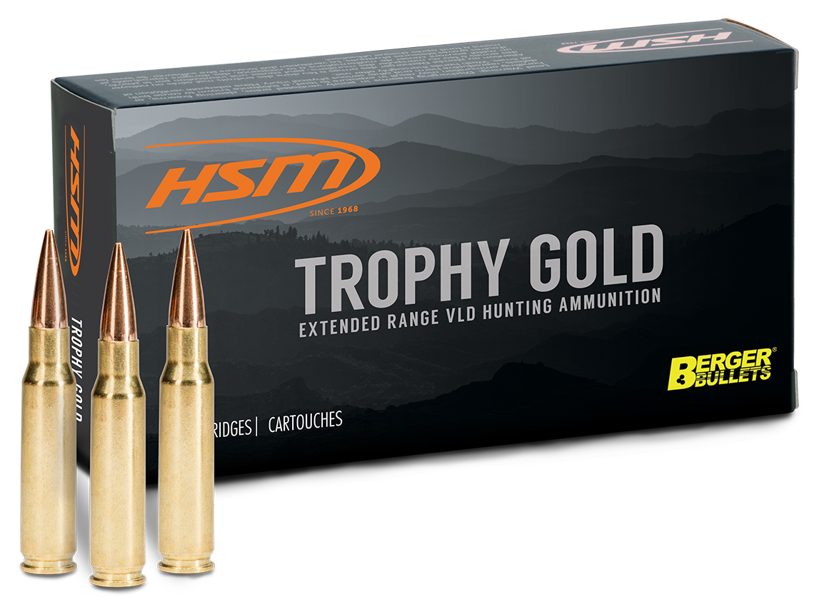 HSM 6MM ARC 95GR VLD TROPHY GOLD 20/25