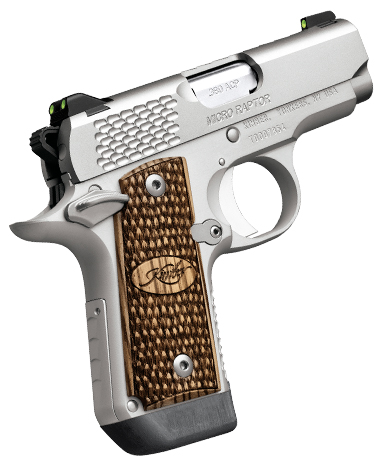 KIMBER MICRO RAPTOR STAINLESS 380ACP 2.75"