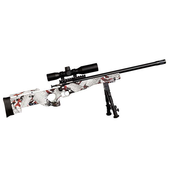 KSA CRICKETT PRECISION 22LR CPR 2ND AMENDMENT