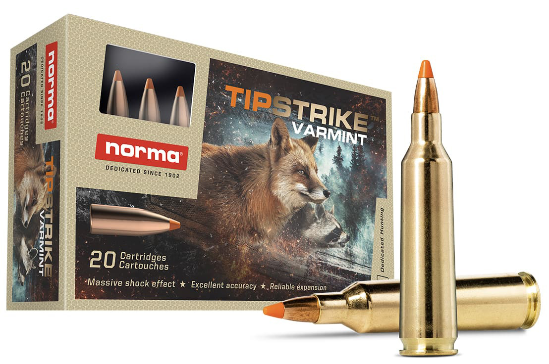 NORMA TIPSTRIKE 22-250REM 55GR 20/10