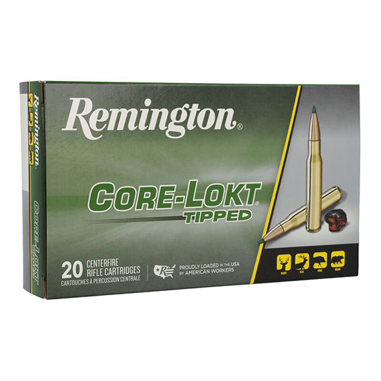 REM CORE LOKT 243WIN 95GR TIPPED 20/10